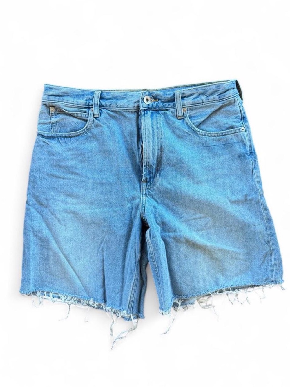 Everlane OG Baggy Shorts